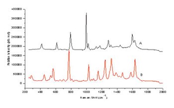 1482197470204074361.jpg/